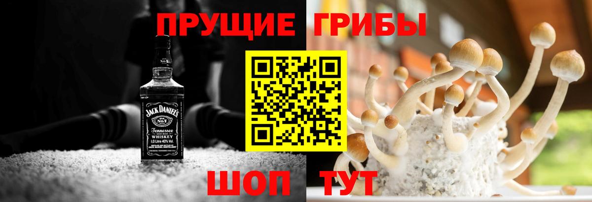 Галлюциногенные грибы MAGIC MUSHROOMS  Вход с VPN  Энгельс 